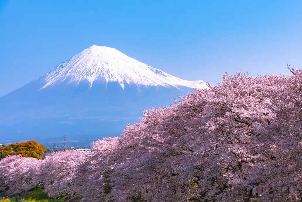 Epocas con mejor clima en Japón