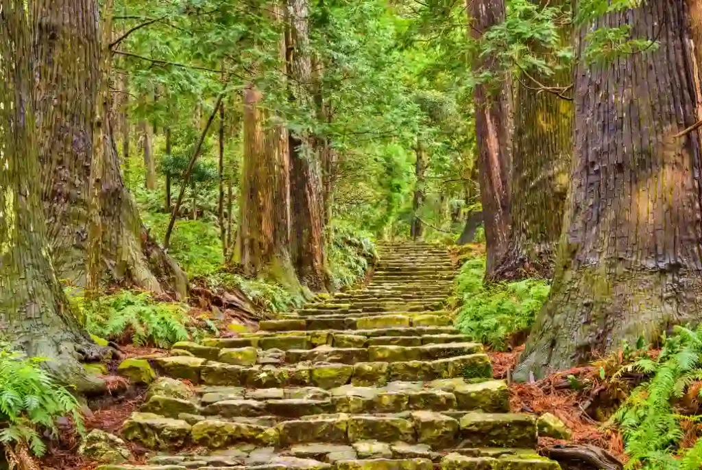 Imagen del sendero Daimon Zaka de las rutas de Kumano Kodo